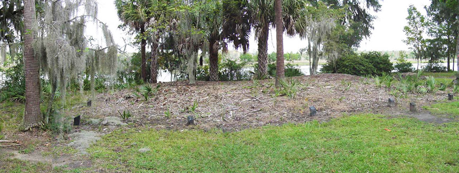 The Garden House site, as it appeared in 2007.  The site had been covered with sand and mulch, and trees had been allowed to grow above, trees whose roots were impacting the remaining walls and foundation of the building.